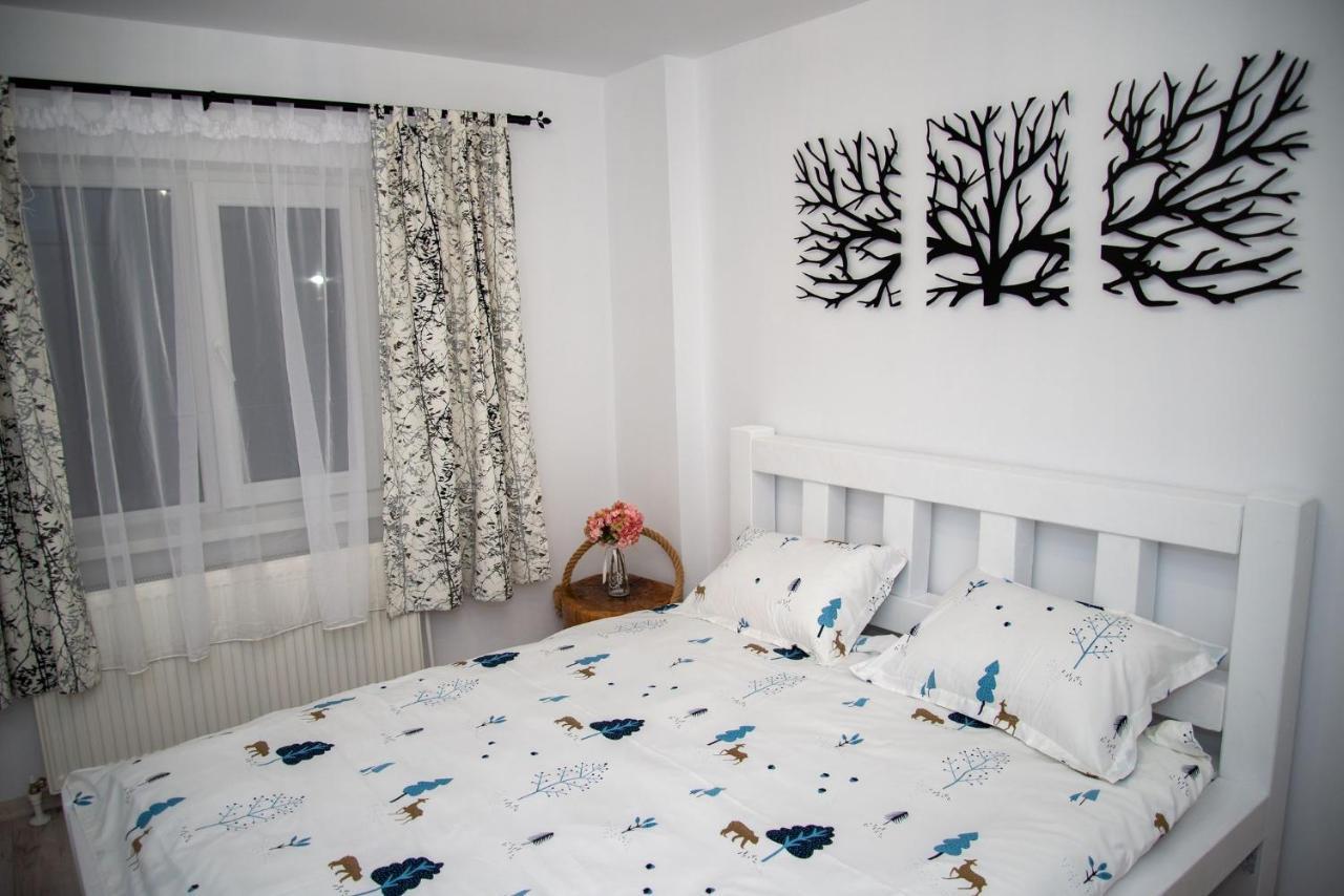 Apartament Daria Tîrgu Ocna Extérieur photo