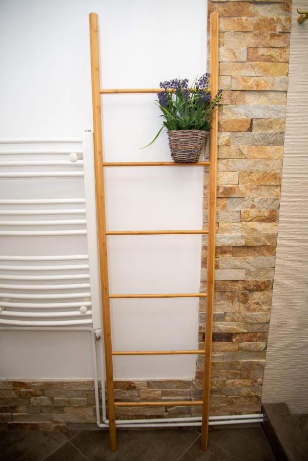 Apartament Daria Tîrgu Ocna Extérieur photo