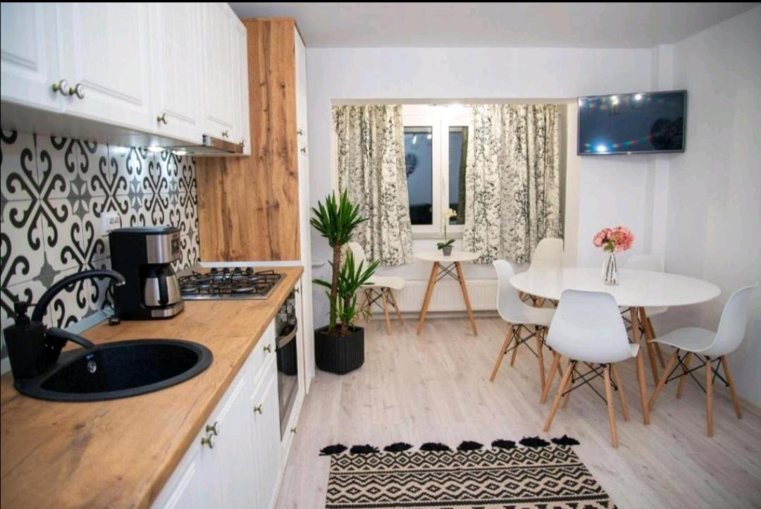 Apartament Daria Tîrgu Ocna Extérieur photo