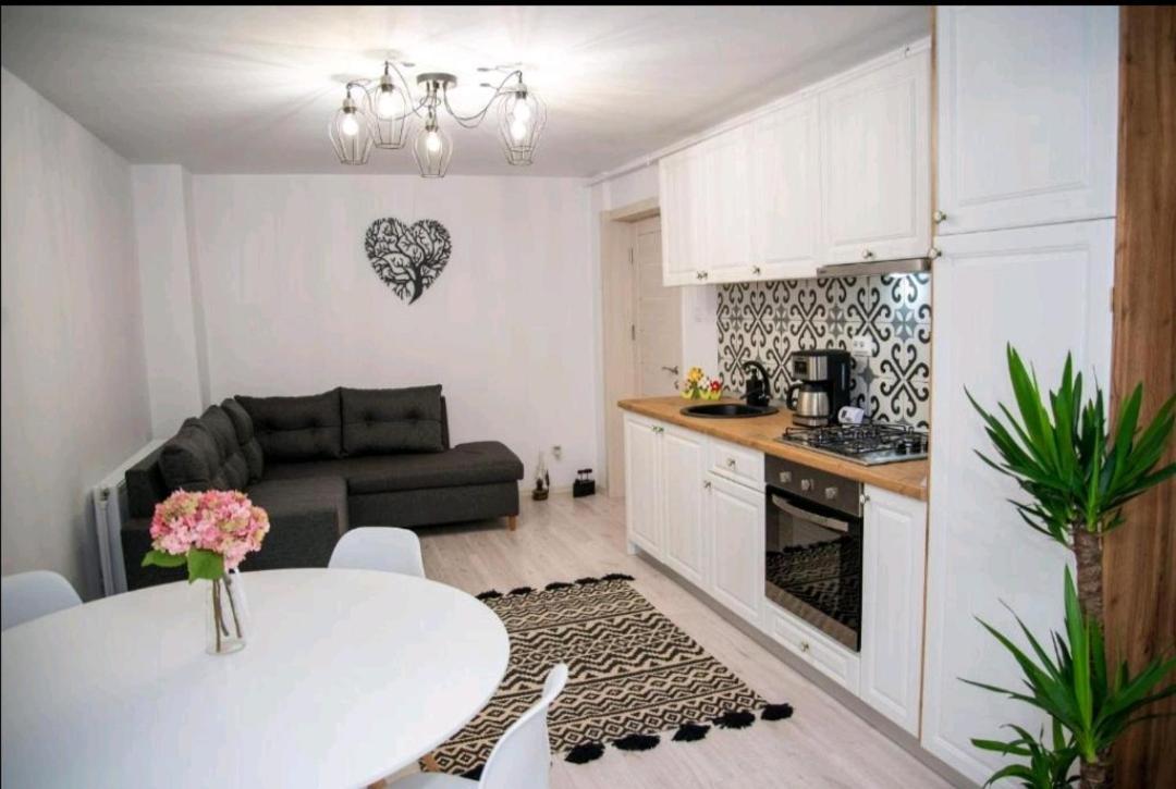 Apartament Daria Tîrgu Ocna Extérieur photo